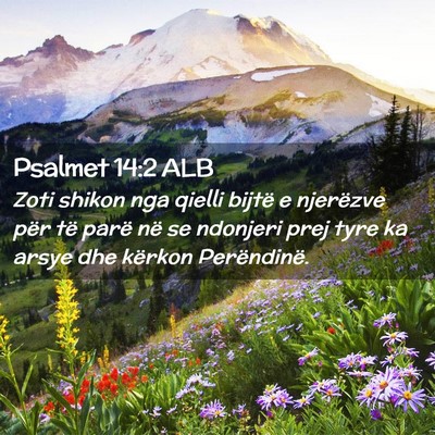 Picture 02 - Psalmet 14:2 ALB - Zoti shikon nga qielli bijtë e njerëzve për - Bible Verse Picture