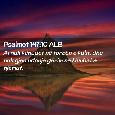 Picture 02 - Psalmet 147:10 ALB - Ai nuk kënaqet në forcën e kalit, dhe nuk gjen - Bible Verse Picture