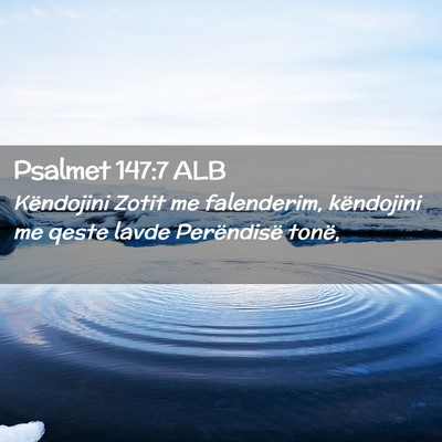 Picture 02 - Psalmet 147:7 ALB - Këndojini Zotit me falenderim, këndojini me - Bible Verse Picture