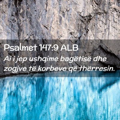 Picture 02 - Psalmet 147:9 ALB - Ai i jep ushqime bagëtisë dhe zogjve të - Bible Verse Picture
