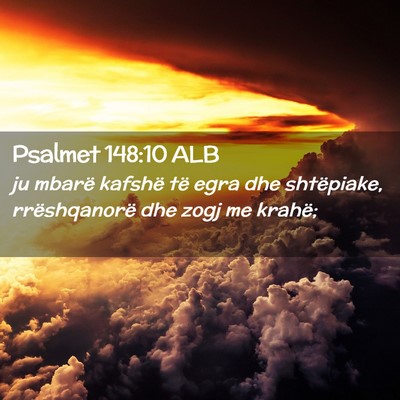 Picture 02 - Psalmet 148:10 ALB - ju mbarë kafshë të egra dhe shtëpiake, - Bible Verse Picture