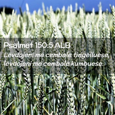 Picture 02 - Psalmet 150:5 ALB - Lëvdojeni me cembale tingëlluese, lëvdojeni me - Bible Verse Picture