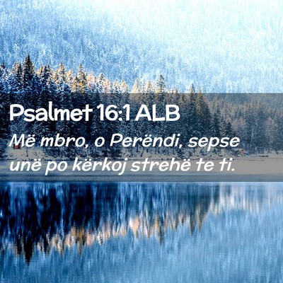 Picture 02 - Psalmet 16:1 ALB - Më mbro, o Perëndi, sepse unë po kërkoj - Bible Verse Picture