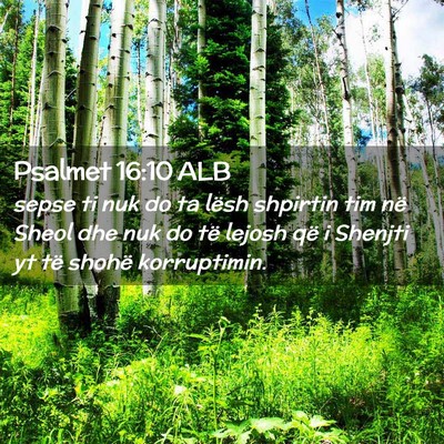 Picture 02 - Psalmet 16:10 ALB - sepse ti nuk do ta lësh shpirtin tim në Sheol - Bible Verse Picture