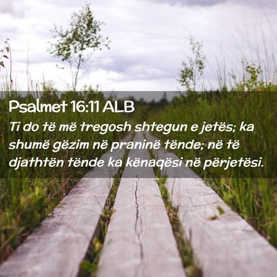 Picture 02 - Psalmet 16:11 ALB - Ti do të më tregosh shtegun e jetës; ka shumë - Bible Verse Picture