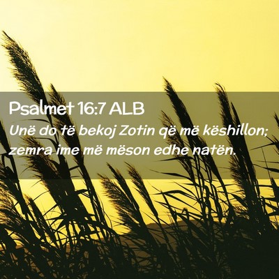 Picture 02 - Psalmet 16:7 ALB - Unë do të bekoj Zotin që më këshillon; zemra - Bible Verse Picture