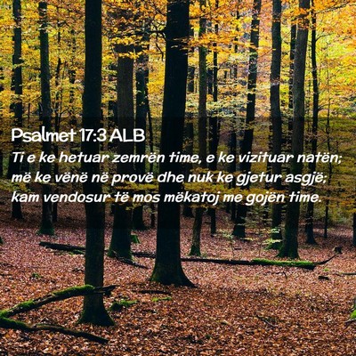 Picture 02 - Psalmet 17:3 ALB - Ti e ke hetuar zemrën time, e ke vizituar - Bible Verse Picture