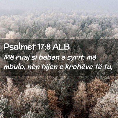 Picture 02 - Psalmet 17:8 ALB - Më ruaj si beben e syrit; më mbulo, nën hijen - Bible Verse Picture