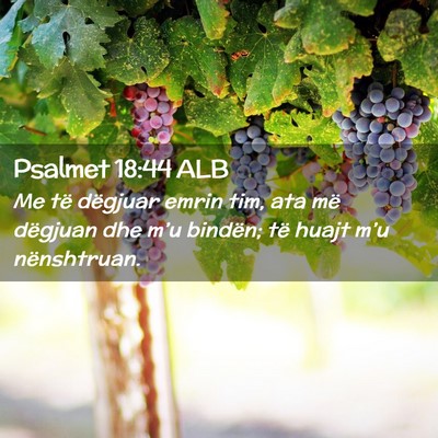 Picture 02 - Psalmet 18:44 ALB - Me të dëgjuar emrin tim, ata më dëgjuan dhe - Bible Verse Picture
