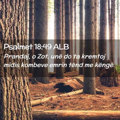 Picture 02 - Psalmet 18:49 ALB - Prandaj, o Zot, unë do ta kremtoj midis kombeve - Bible Verse Picture