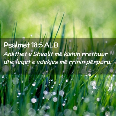 Picture 02 - Psalmet 18:5 ALB - Ankthet e Sheolit më kishin rrethuar dhe leqet e - Bible Verse Picture