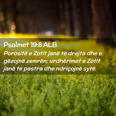 Picture 02 - Psalmet 19:8 ALB - Porositë e Zotit janë të drejta dhe e - Bible Verse Picture
