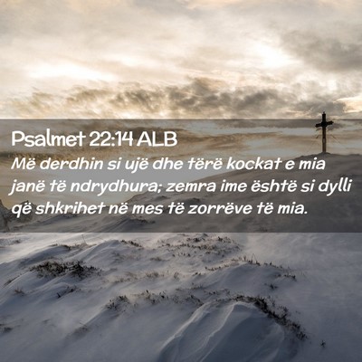 Picture 02 - Psalmet 22:14 ALB - Më derdhin si ujë dhe tërë kockat e mia janë - Bible Verse Picture