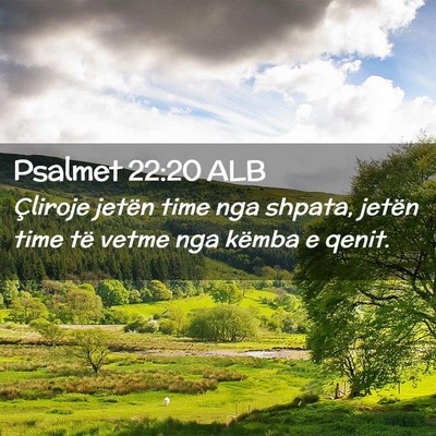 Picture 02 - Psalmet 22:20 ALB - Çliroje jetën time nga shpata, jetën time të - Bible Verse Picture