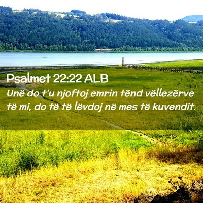 Picture 02 - Psalmet 22:22 ALB - Unë do t’u njoftoj emrin tënd vëllezërve - Bible Verse Picture