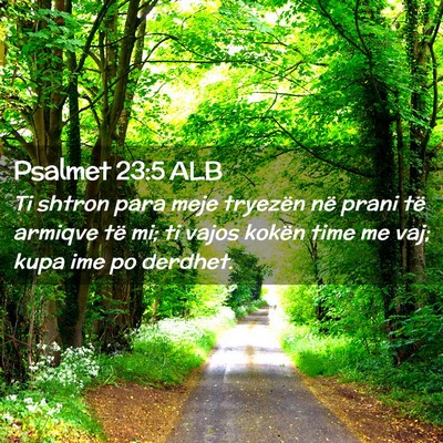 Picture 02 - Psalmet 23:5 ALB - Ti shtron para meje tryezën në prani të - Bible Verse Picture