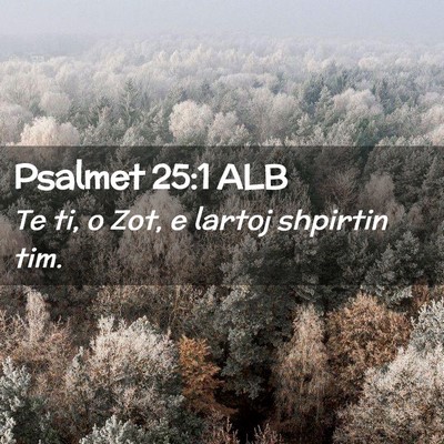 Picture 02 - Psalmet 25:1 ALB - Te ti, o Zot, e lartoj shpirtin - Bible Verse Picture