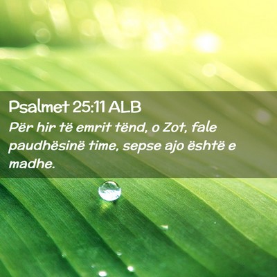 Picture 02 - Psalmet 25:11 ALB - Për hir të emrit tënd, o Zot, fale - Bible Verse Picture