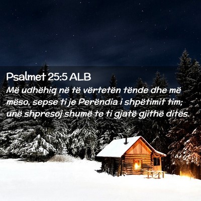 Picture 02 - Psalmet 25:5 ALB - Më udhëhiq në të vërtetën tënde dhe më - Bible Verse Picture