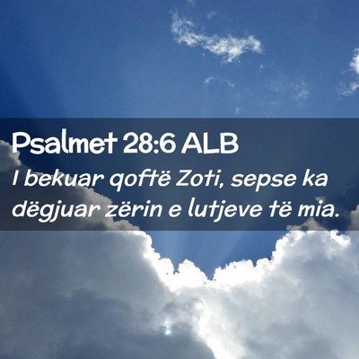 Picture 02 - Psalmet 28:6 ALB - I bekuar qoftë Zoti, sepse ka dëgjuar zërin e - Bible Verse Picture