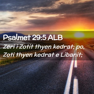 Picture 02 - Psalmet 29:5 ALB - Zëri i Zotit thyen kedrat; po, Zoti thyen kedrat - Bible Verse Picture