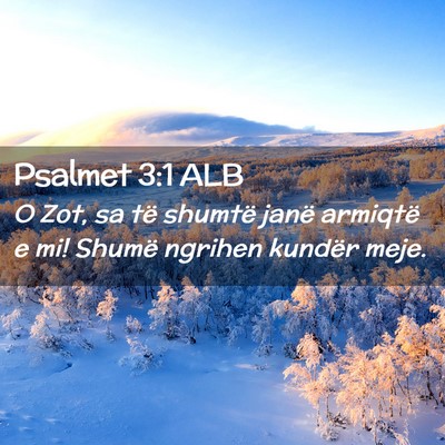 Picture 02 - Psalmet 3:1 ALB - O Zot, sa të shumtë janë armiqtë e mi! Shumë - Bible Verse Picture