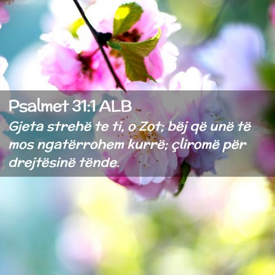 Picture 02 - Psalmet 31:1 ALB - Gjeta strehë te ti, o Zot; bëj që unë të mos - Bible Verse Picture