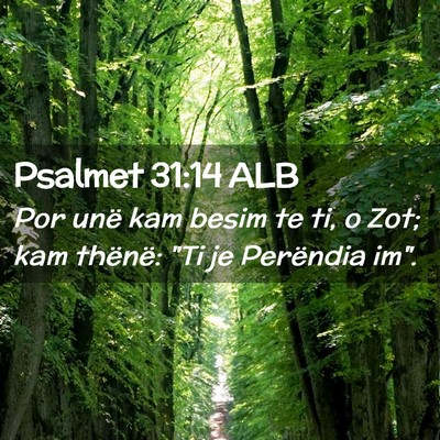 Picture 02 - Psalmet 31:14 ALB - Por unë kam besim te ti, o Zot; kam thënë: 