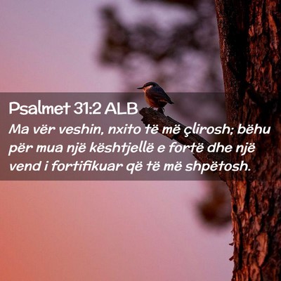 Picture 02 - Psalmet 31:2 ALB - Ma vër veshin, nxito të më çlirosh; bëhu - Bible Verse Picture