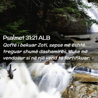 Picture 02 - Psalmet 31:21 ALB - Qoftë i bekuar Zoti, sepse më është treguar - Bible Verse Picture