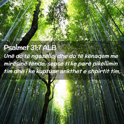 Picture 02 - Psalmet 31:7 ALB - Unë do të ngazëlloj dhe do të kënaqem me - Bible Verse Picture