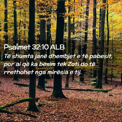 Picture 02 - Psalmet 32:10 ALB - Të shumta janë dhembjet e të pabesit, por ai - Bible Verse Picture
