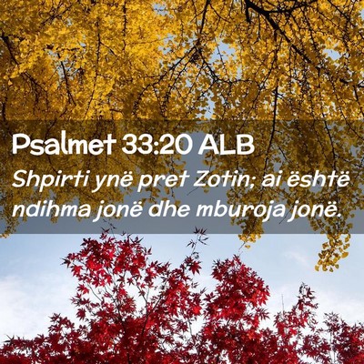 Picture 02 - Psalmet 33:20 ALB - Shpirti ynë pret Zotin; ai është ndihma jonë - Bible Verse Picture