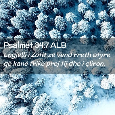 Picture 02 - Psalmet 34:7 ALB - Engjëlli i Zotit zë vend rreth atyre që kanë - Bible Verse Picture
