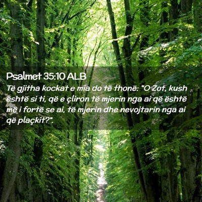 Picture 02 - Psalmet 35:10 ALB - Të gjitha kockat e mia do të thonë: 