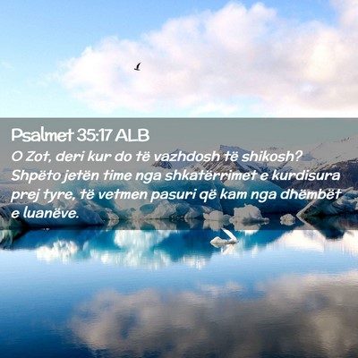 Picture 02 - Psalmet 35:17 ALB - O Zot, deri kur do të vazhdosh të shikosh? - Bible Verse Picture