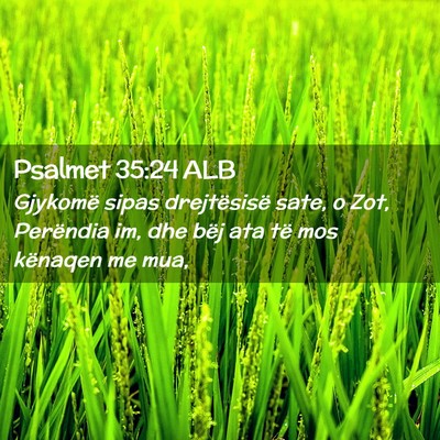 Picture 02 - Psalmet 35:24 ALB - Gjykomë sipas drejtësisë sate, o Zot, - Bible Verse Picture