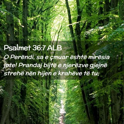 Picture 02 - Psalmet 36:7 ALB - O Perëndi, sa e çmuar është mirësia jote! - Bible Verse Picture