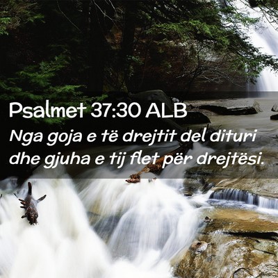Picture 02 - Psalmet 37:30 ALB - Nga goja e të drejtit del dituri dhe gjuha e tij - Bible Verse Picture