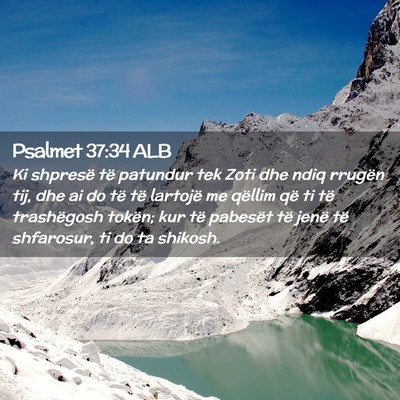 Picture 02 - Psalmet 37:34 ALB - Ki shpresë të patundur tek Zoti dhe ndiq - Bible Verse Picture