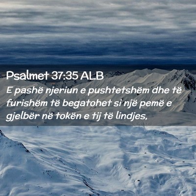 Picture 02 - Psalmet 37:35 ALB - E pashë njeriun e pushtetshëm dhe të furishëm - Bible Verse Picture