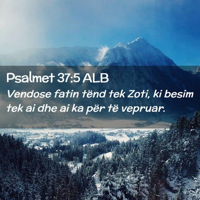 Picture 02 - Psalmet 37:5 ALB - Vendose fatin tënd tek Zoti, ki besim tek ai dhe - Bible Verse Picture
