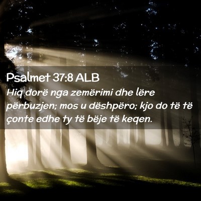 Picture 02 - Psalmet 37:8 ALB - Hiq dorë nga zemërimi dhe lëre përbuzjen; mos - Bible Verse Picture
