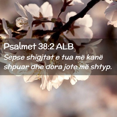 Picture 02 - Psalmet 38:2 ALB - Sepse shigjtat e tua më kanë shpuar dhe dora - Bible Verse Picture