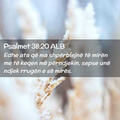 Picture 02 - Psalmet 38:20 ALB - Edhe ata që ma shpërblejnë të mirën me të - Bible Verse Picture