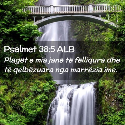 Picture 02 - Psalmet 38:5 ALB - Plagët e mia janë të fëlliqura dhe të - Bible Verse Picture