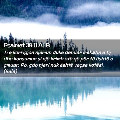 Picture 02 - Psalmet 39:11 ALB - Ti e korrigjon njeriun duke dënuar mëkatin e - Bible Verse Picture