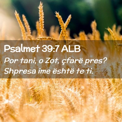 Picture 02 - Psalmet 39:7 ALB - Por tani, o Zot, çfarë pres? Shpresa ime - Bible Verse Picture