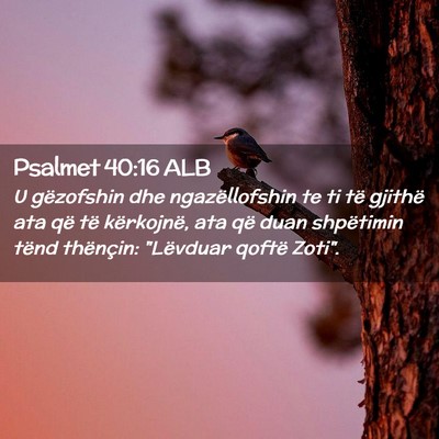 Picture 02 - Psalmet 40:16 ALB - U gëzofshin dhe ngazëllofshin te ti të gjithë - Bible Verse Picture