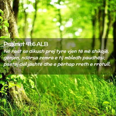 Picture 02 - Psalmet 41:6 ALB - Në rast se dikush prej tyre vjen të më - Bible Verse Picture